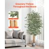 6FT Artificial Ficus Tree with Black Pot, Tall Faux Ficus Plant with Natural Wood Trunk and Realistic Green Leaves, Indoor Fake Silk Tree for Home